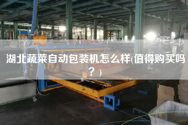 湖北蔬菜自动包装机怎么样(值得购买吗？)