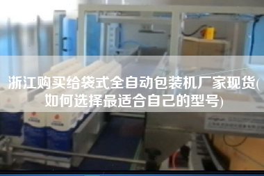 浙江购买给袋式全自动包装机厂家现货(如何选择z适合自己的型号)