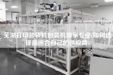 芜湖打印装袋机包装机哪家专业(如何选择z适合自己的供应商)
