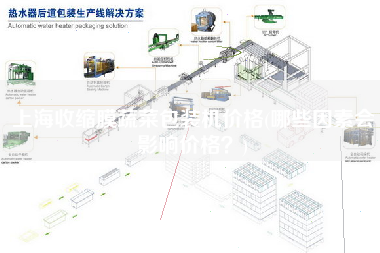 上海收缩膜蔬菜包装机价格(哪些因素会影响价格？)