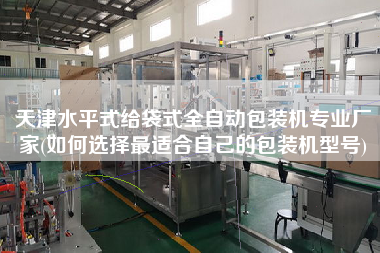 天津水平式给袋式全自动包装机专业厂家(如何选择z适合自己的包装机型号)