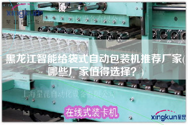 黑龙江智能给袋式自动包装机推荐厂家(哪些厂家值得选择？)