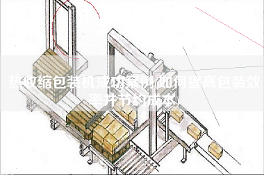 热收缩包装机成功案例(如何提高包装效率并节约成本)