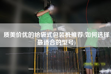 质美价优的给袋式包装机推荐(如何选择z适合的型号)