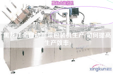 黑龙江全自动蔬菜包装机生产(如何提高生产效率)