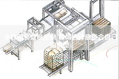 全自动装盒机定制(如何选择z适合自己的机型)
