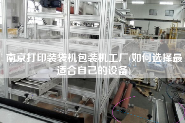 南京打印装袋机包装机工厂(如何选择z适合自己的设备)