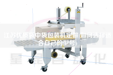 江苏优质袋中袋包装机定做(如何选择适合自己的型号)