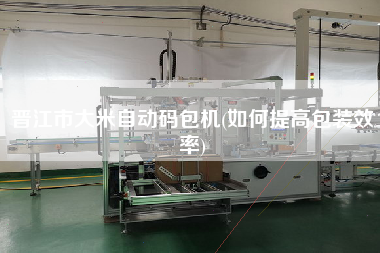 晋江市大米自动码包机(如何提高包装效率)