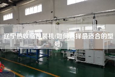 辽宁热收缩包装机(如何选择z适合的型号)