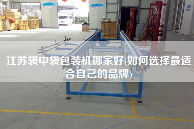 江苏袋中袋包装机哪家好(如何选择z适合自己的品牌)