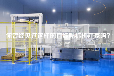 你曾经见过这样的直线贴标机厂家吗？