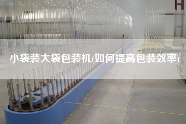 小袋装大袋包装机(如何提高包装效率)