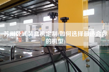 苏州卧式装盒机定制(如何选择z适合你的机型)