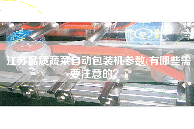 江苏品质蔬菜自动包装机参数(有哪些需要注意的？)