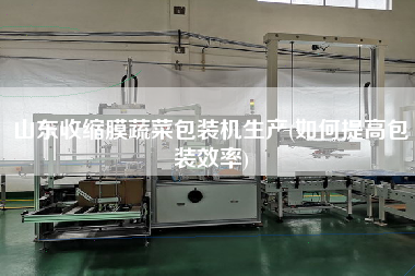 山东收缩膜蔬菜包装机生产(如何提高包装效率)