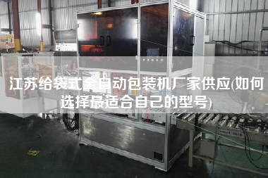 江苏给袋式全自动包装机厂家供应(如何选择z适合自己的型号)
