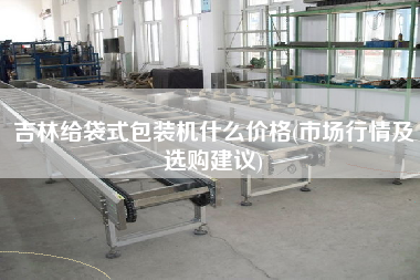 吉林给袋式包装机什么价格(市场行情及选购建议)