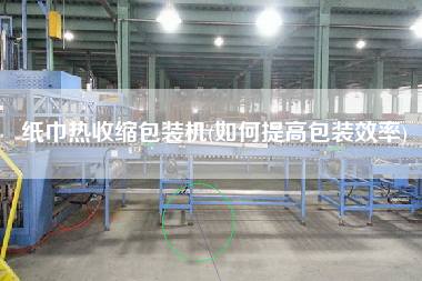 纸巾热收缩包装机(如何提高包装效率)